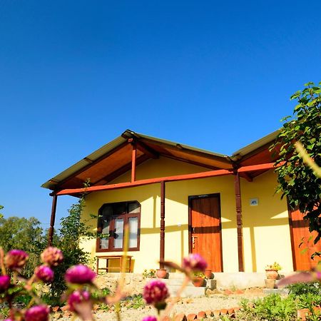 Nature Safari Resort Bardiya Dış mekan fotoğraf